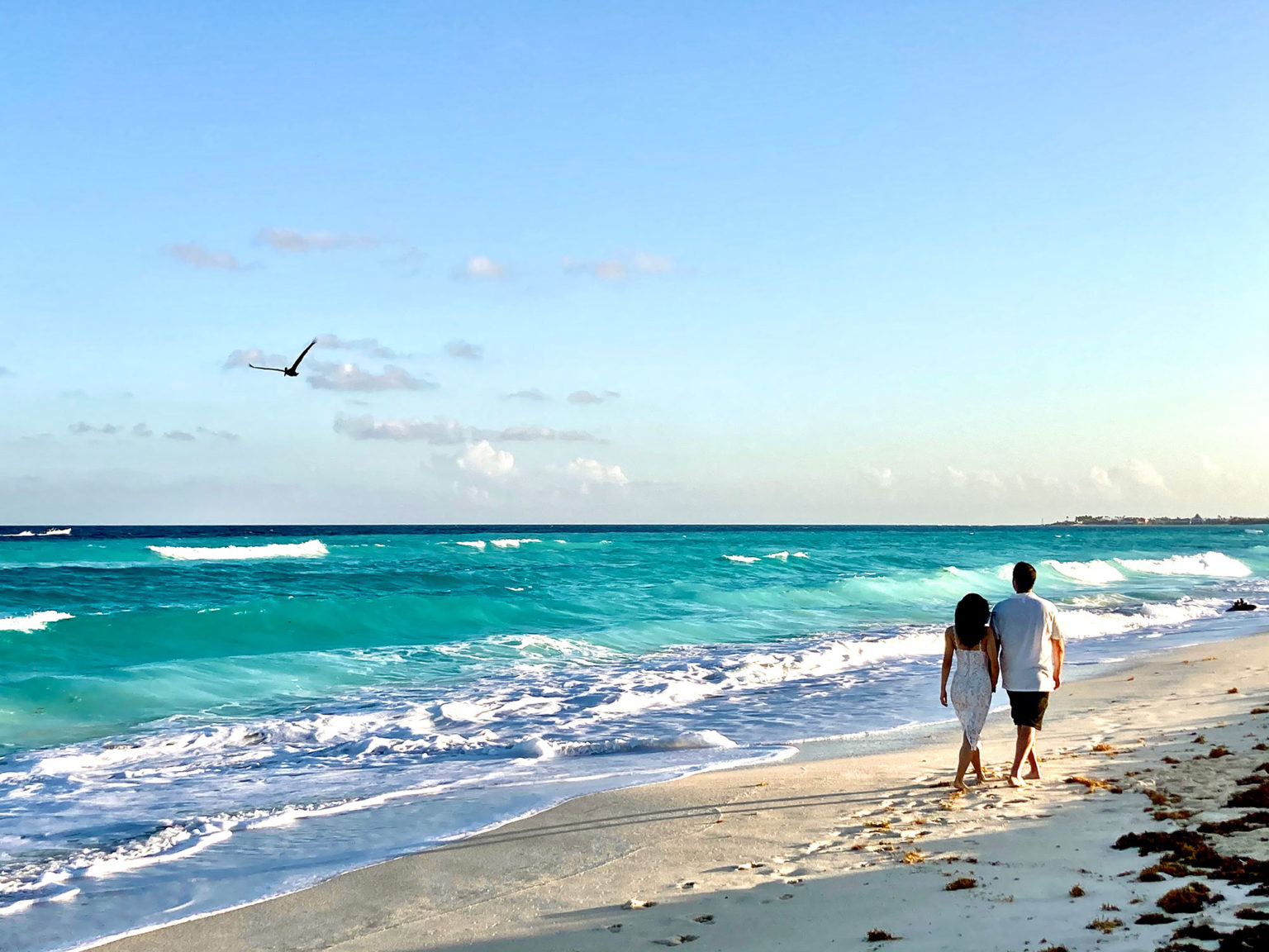 Walking along the shore